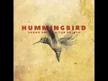 Hummingbird - Shane Smith & the Saints