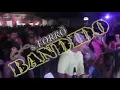 Download Lagu Cizinho e forró Bandido ao vivo