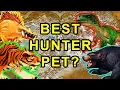 Download Lagu Classic WoW: Best Hunter Pet For Leveling? - Detailed Guide