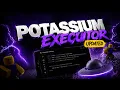 Potassium Executor New Roblox Executor WORK 2026
