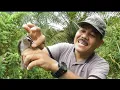Download Lagu jebakan termudah khusus burung trucukan