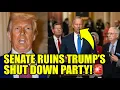 Download Lagu The SENATE Just Dropped A SHUTDOWN BOMB On Trump