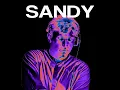 J'adore X Never Be Like You // SANDY Mix