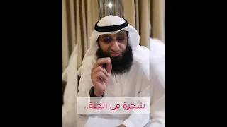 شجرة في الجنة  شجرة في الجنة