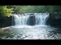 Download Lagu Beautiful Piano Radio 🎹 Relaxing Music for Sleep, Studying \u0026 Relaxation 24/7
