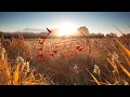 Agnes Obel - Fuel To Fire (Dexcell Remix)