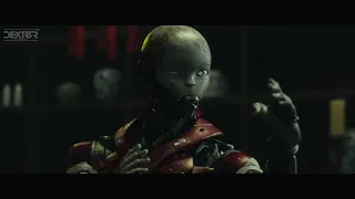 Short Film The Kungfu Robot 
