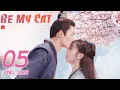 Download Lagu ENG SUB [Be My Cat] EP05 | Fantasy Costume Romantic Drama | starring: Tian Xi Wei, Kevin Xiao