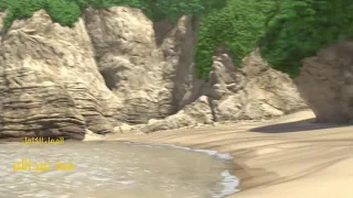 تنة ورنة حلقة قصيرة كنز القرصنة 