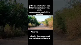 New Oromoo Music Shaggoyyee Mahmad Sheka Gabbarri Qaalawe 2017 