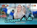 Download Lagu LANGGAM ALI - ALI ~ ENNY ALVERO || DEWARUCI MUSIC OFFICIAL LIVE KARANGTENGAH, MERTAN MP3