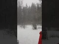 Download Lagu Newsflash!! SANTA spotted in swedish blizzard!!