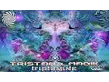 Download Lagu Tristan \u0026 Magik - Triptamine