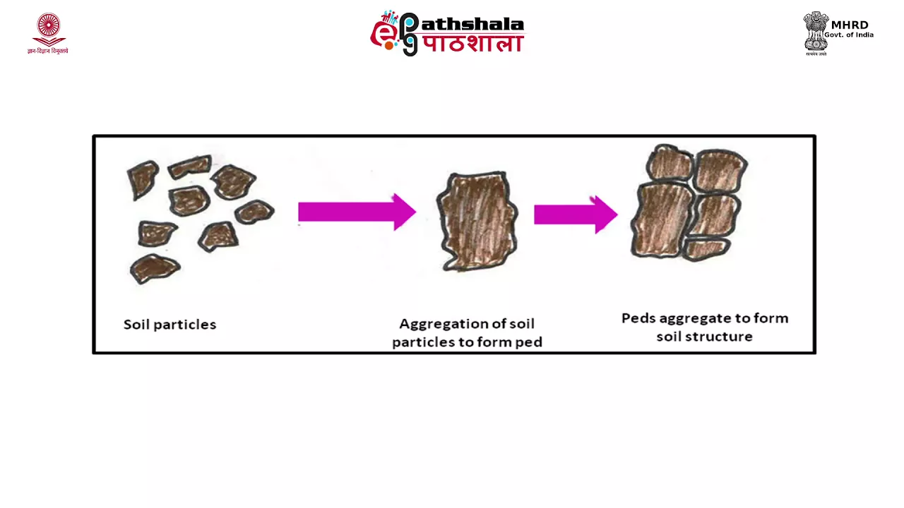 Physical Properties of Soil