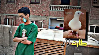 سبب انقطاع عن تنزيل الفيديوهات كوكو طارت وتاهت ومعرفتش ترجع تاني النهايه 