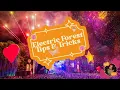What To Know Before Going To Electric Forest 2024