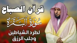 قرآن الصباح   سورة البقرة لحفظ وتحصين المنزل   بصوت الشيخ ماهر المعيقلي    جودة عالية دندنها