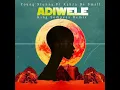 Download Lagu Young Stunna ft Kabza De Small Adiwele (King Sompees Remix)