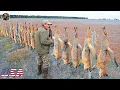 Download Lagu LIVE: Epic Hunter Showdown: Mastering Foxes and Mountain Goats to Protect Farms and Ecosystems!