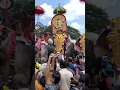 Download Lagu Thrissur Pooram #kerala #festival #pooram #elephant #shorts #india #trending #travel