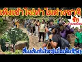 Download Lagu หนุ่มสาวต่างชาติ ตื่นเต้นกันใหญ่เมื่อได้เห็นสัตว์นี้ใกล้ๆในครั้งแรกของชีวิต!!