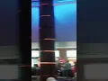 Cinepolis is a Mexican and international movie theater chain