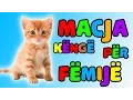 Lagu macja le te lahet kenge (Kenge per femije) │ Bleta ™