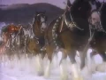 Budweiser - Holiday Greetings 1987