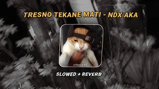 tresno tekane mati ndx aka slowed lirik 