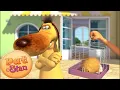 Download Lagu Pat and Stan | In Search of Lost Treasure | DOUBLE EPISODE | Cartoon for Kids