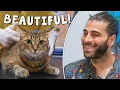 Download Lagu BU KEDİ TAM BİR PRENSES! (Rengarenk, Sevimli ve Mızmız!)