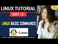 Linux Command Line For Beginners Linux Tutorial Linux for Devops Linux Day 3 Devops Easy