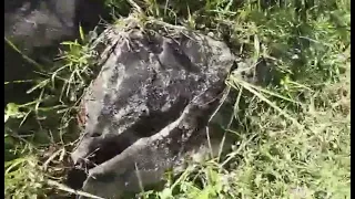 manga bato na may bakat na guhit Ng hapon