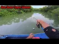Pemancing Mana Yg Tidak Mau Dapat ikan Besar Seperti ini, ikan Besar Super idaman