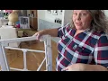 Review of Pawaura Clear Acrylic Dog Playpen Indoor and Outdoor