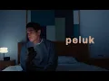 Lagu Afgan - Peluk (Visualizer)