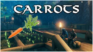 Carrot Farm Valheim Let s Play Ep 8