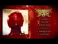 Download Lagu Monochromatic Black - VEHEMENCE (2025 Full Album Stream)
