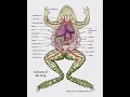 diagram of frog