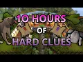 Loot From 10 Hours Of Hard Clue Scrolls