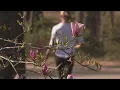Climate Change Prolonging Allergy Season