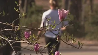 Climate Change Prolonging Allergy Season