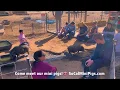 Hanging out on a mini pig farm in Southern California Adorable Mini pig friends