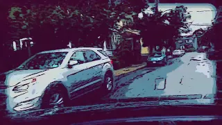 riders on the storm cover by pop into the chemist