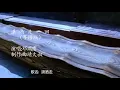 葉蒨文&瀟灑走一回&廣東