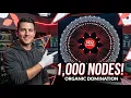 Deploying Thousands of Niched Microsites to Own Your Market
