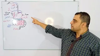 الهضم في الإنسان احياء الصف الثاني الثانوي 