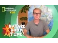 Coastal Redwoods vs Giant Sequoias Nature Boom Time natgeokids