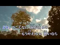 M PRINCESS PRINCESS プリンセスプリンセス カラオケ 練習用  原曲キー 歌付き ボーカル入り 歌詞付き