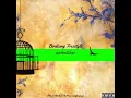 darknitebar x Birdsong Freestyle